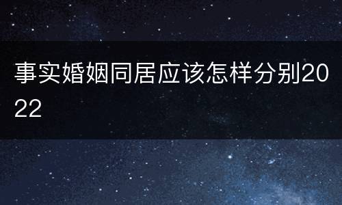 事实婚姻同居应该怎样分别2022