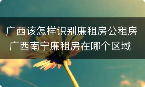 广西该怎样识别廉租房公租房 广西南宁廉租房在哪个区域