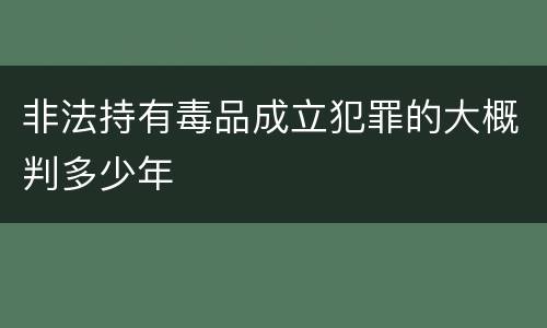 非法持有毒品成立犯罪的大概判多少年