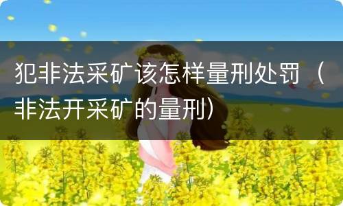 犯非法采矿该怎样量刑处罚（非法开采矿的量刑）