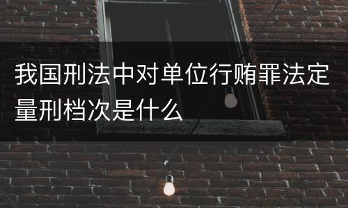 我国刑法中对单位行贿罪法定量刑档次是什么