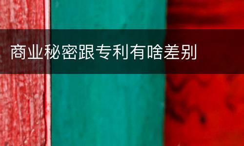 商业秘密跟专利有啥差别