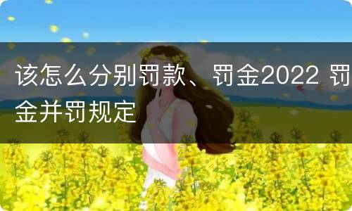 该怎么分别罚款、罚金2022 罚金并罚规定