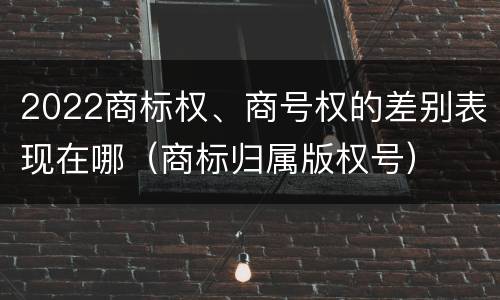 2022商标权、商号权的差别表现在哪（商标归属版权号）