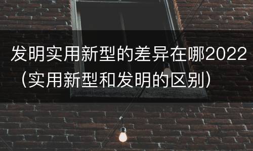 发明实用新型的差异在哪2022（实用新型和发明的区别）