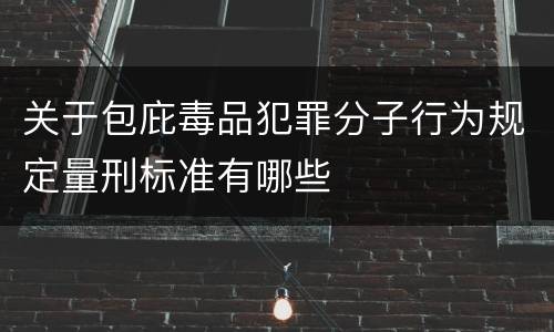 关于包庇毒品犯罪分子行为规定量刑标准有哪些