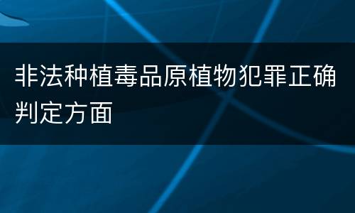 非法种植毒品原植物犯罪正确判定方面