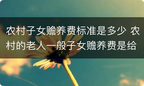 农村子女赡养费标准是多少 农村的老人一般子女赡养费是给多少