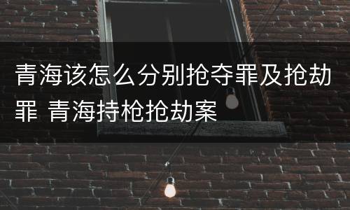 青海该怎么分别抢夺罪及抢劫罪 青海持枪抢劫案