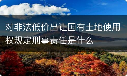 对非法低价出让国有土地使用权规定刑事责任是什么