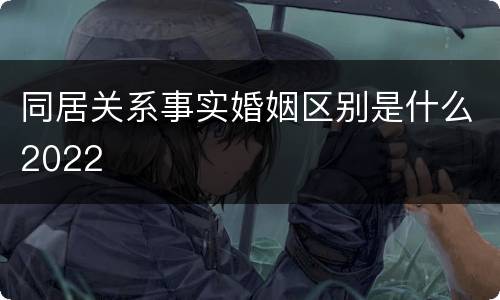 同居关系事实婚姻区别是什么2022
