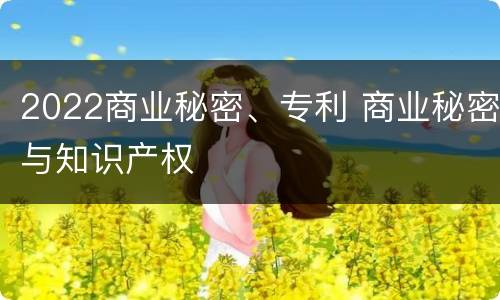 2022商业秘密、专利 商业秘密与知识产权