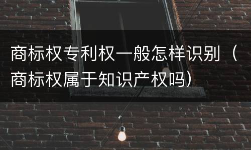 商标权专利权一般怎样识别（商标权属于知识产权吗）