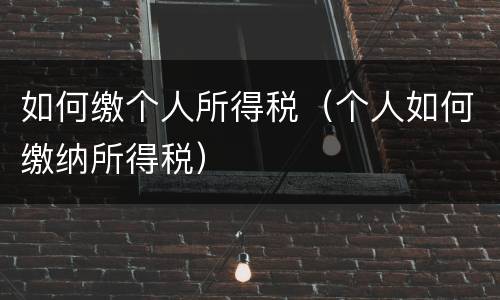 如何缴个人所得税（个人如何缴纳所得税）