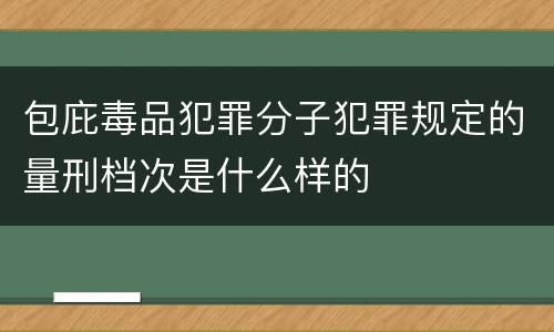 包庇毒品犯罪分子犯罪规定的量刑档次是什么样的