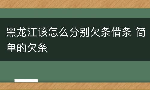 黑龙江该怎么分别欠条借条 简单的欠条