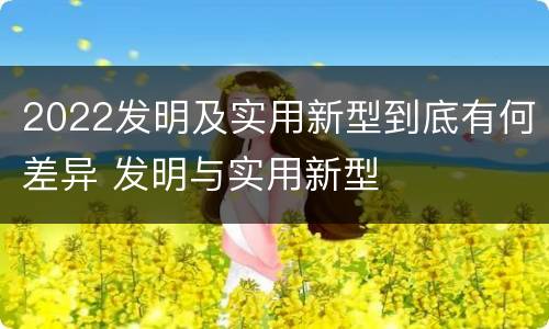 2022发明及实用新型到底有何差异 发明与实用新型