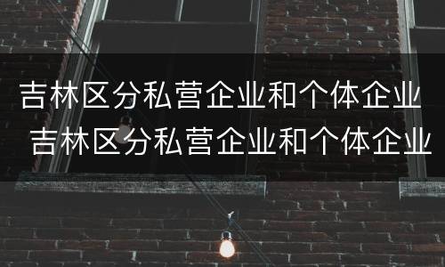 吉林区分私营企业和个体企业 吉林区分私营企业和个体企业的区别