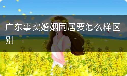 广东事实婚姻同居要怎么样区别