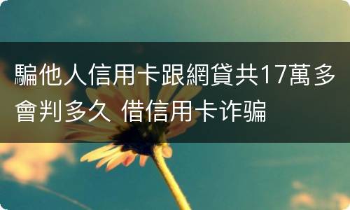 騙他人信用卡跟網貸共17萬多會判多久 借信用卡诈骗