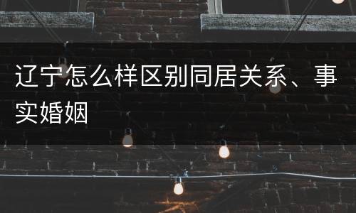 辽宁怎么样区别同居关系、事实婚姻
