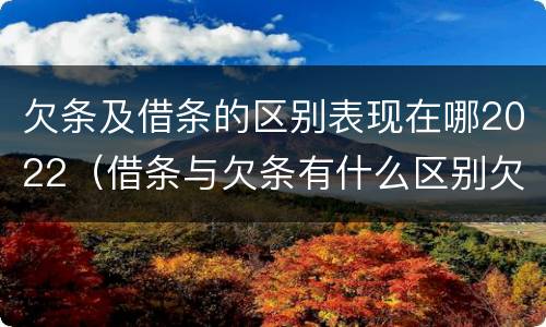 欠条及借条的区别表现在哪2022（借条与欠条有什么区别欠条怎么写）