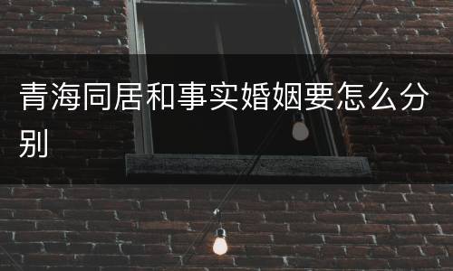 青海同居和事实婚姻要怎么分别