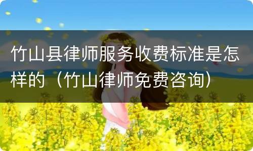 竹山县律师服务收费标准是怎样的（竹山律师免费咨询）