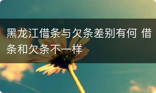 黑龙江借条与欠条差别有何 借条和欠条不一样