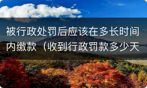 被行政处罚后应该在多长时间内缴款（收到行政罚款多少天内缴纳）