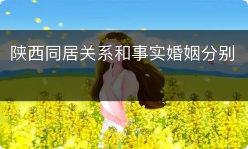 陕西同居关系和事实婚姻分别