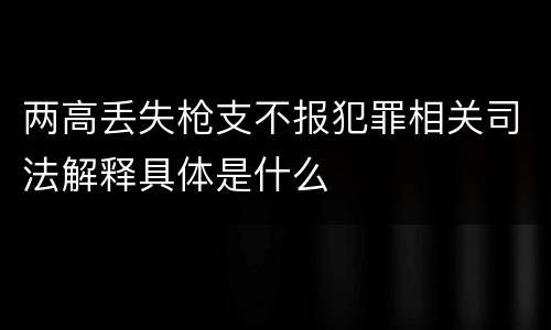 两高丢失枪支不报犯罪相关司法解释具体是什么