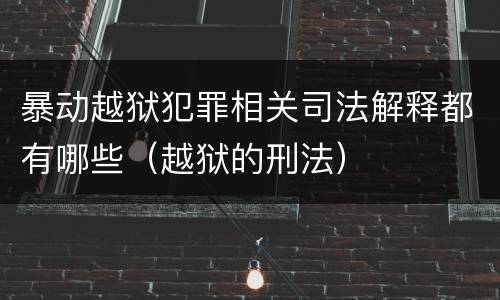 暴动越狱犯罪相关司法解释都有哪些（越狱的刑法）