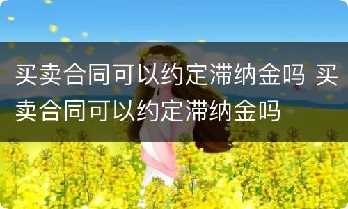 买卖合同可以约定滞纳金吗 买卖合同可以约定滞纳金吗