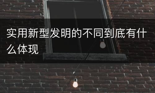 实用新型发明的不同到底有什么体现