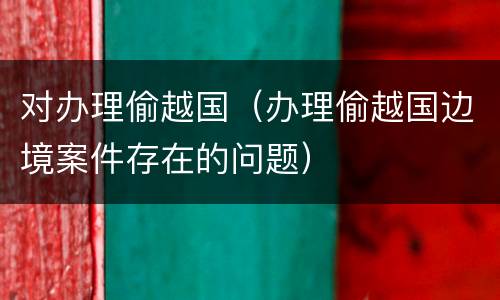 对办理偷越国（办理偷越国边境案件存在的问题）