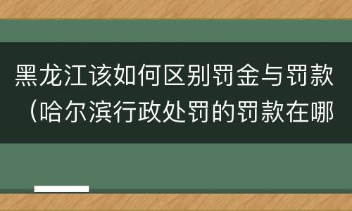 黑龙江该如何区别罚金与罚款（哈尔滨行政处罚的罚款在哪交）