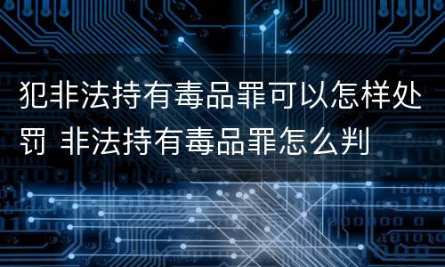 犯非法持有毒品罪可以怎样处罚 非法持有毒品罪怎么判