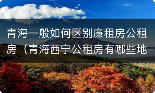 青海一般如何区别廉租房公租房（青海西宁公租房有哪些地方）