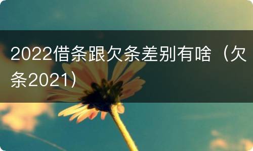 2022借条跟欠条差别有啥（欠条2021）