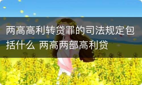 两高高利转贷罪的司法规定包括什么 两高两部高利贷