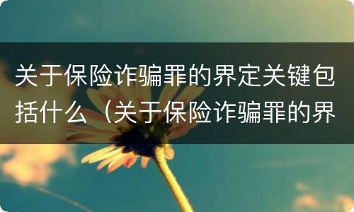 关于保险诈骗罪的界定关键包括什么（关于保险诈骗罪的界定关键包括什么内容）