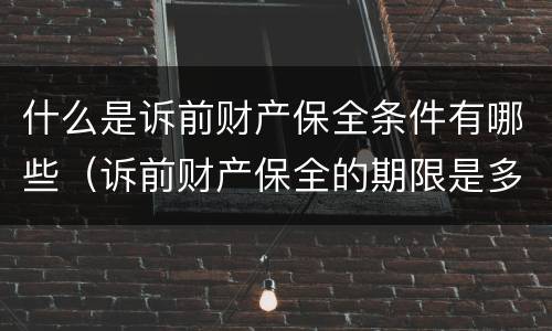什么是诉前财产保全条件有哪些（诉前财产保全的期限是多久）