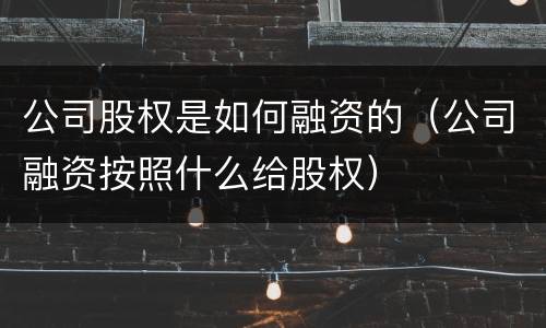 公司股权是如何融资的（公司融资按照什么给股权）