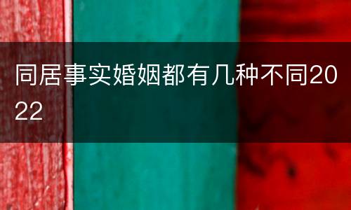同居事实婚姻都有几种不同2022