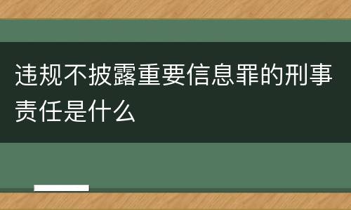 违规不披露重要信息罪的刑事责任是什么