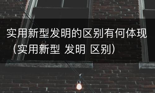 实用新型发明的区别有何体现（实用新型 发明 区别）