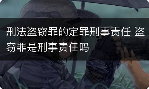刑法盗窃罪的定罪刑事责任 盗窃罪是刑事责任吗