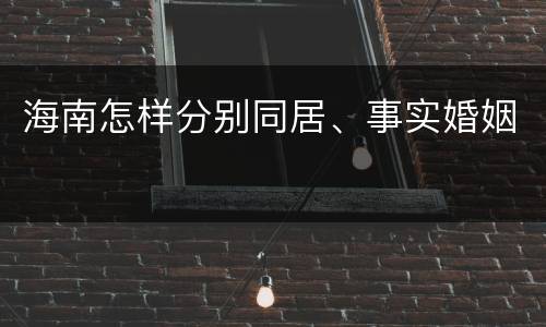 海南怎样分别同居、事实婚姻