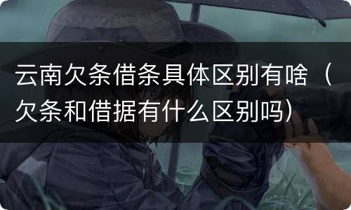 云南欠条借条具体区别有啥（欠条和借据有什么区别吗）
